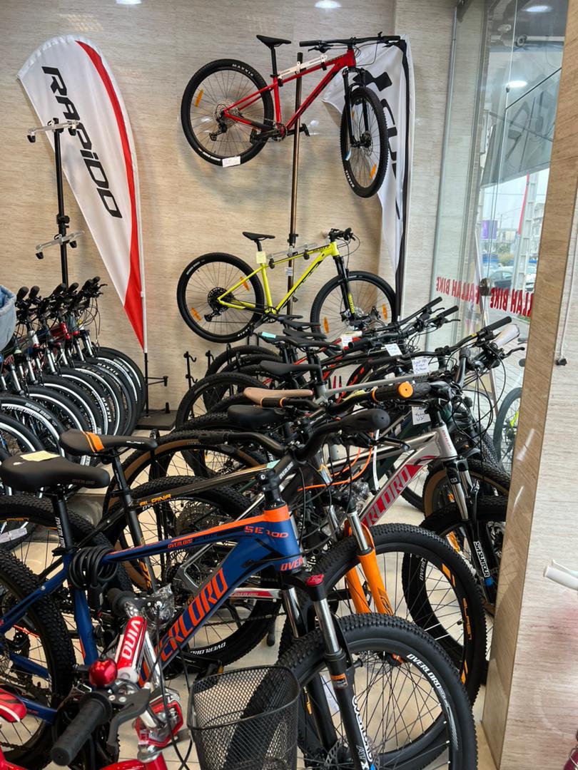 نماینده جاینت و لیو